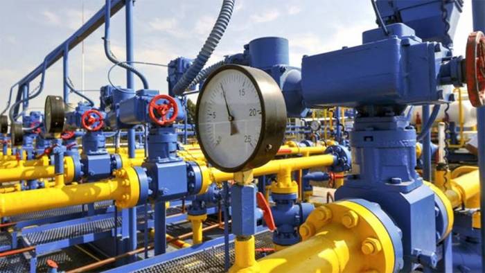 Türkiye kaynak çeşitlendirmesiyle doğal gaz tedarikinde istikrarı hedefliyor