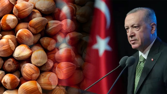 Cumhurbaşkanı Erdoğan: “Fındık fiyatları üreticileri memnun edecek”