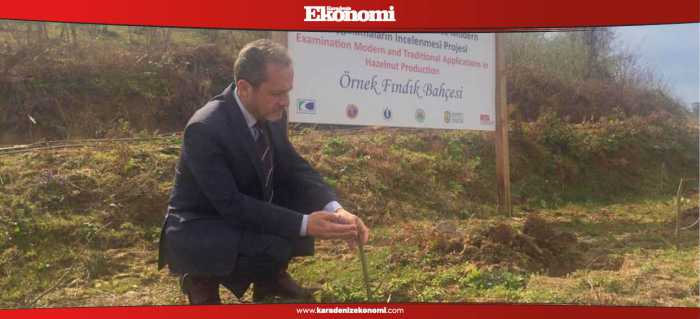 ODÜ, Türk Fındığını uluslararasına taşıyor