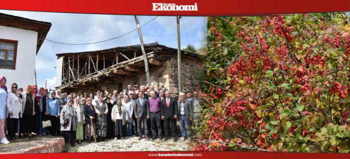 Kuşburnu ilçe ekonomisine katkı sunuyor