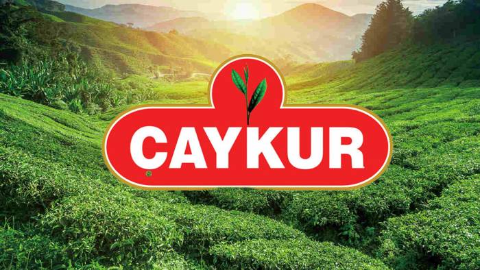 ÇAYKUR, üreticilere 190 milyon lira ödeme yapacak