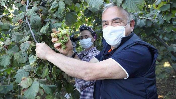 ‘’Fındık bahçelerinden yüzde yüz verim alacağız’’