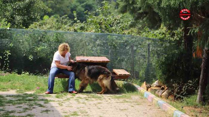 Beslediği Köpeğine Yer Bulamayınca Hayvan Oteli Açtı