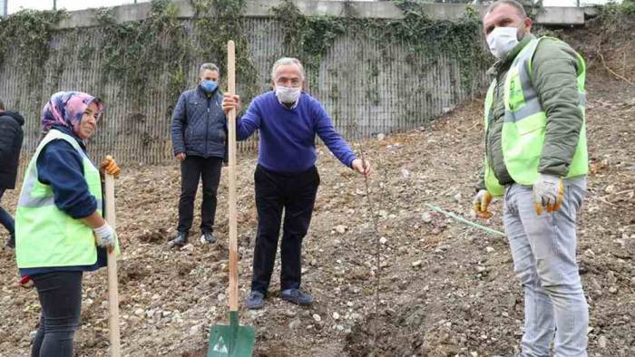 Ordu’da fidanlar mahalle ismiyle buluşacak