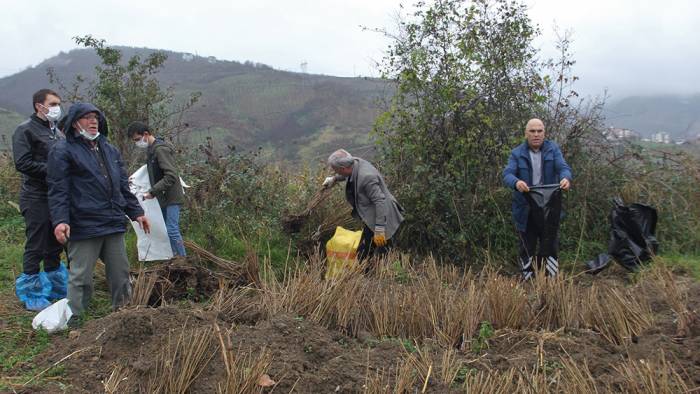 Verim ve kaliteyi arttırma projelerine, fidan desteği ile katkı sürüyor