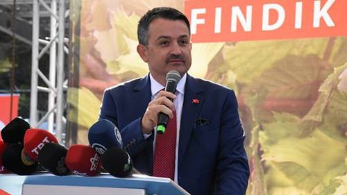 Tarım Bakanı Pakdemirli'den fındık açıklaması