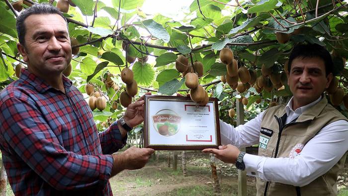 Tescillenen 'Yalova kivisi' üreticisine kazandıracak