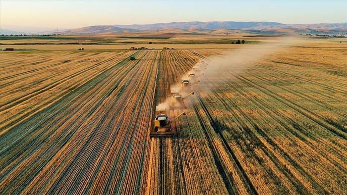 Tarım ÜFE, yıllık yüzde 36,39 arttı