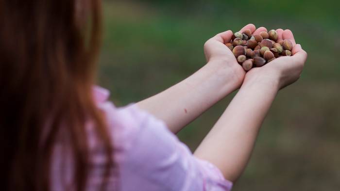 Ferrero ve ILO, çocuk çalışanların önlenmesini destekleyecek proje yürütecek