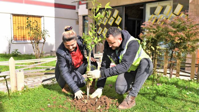 Yeşil şehir Altınordu daha da yeşilleniyor