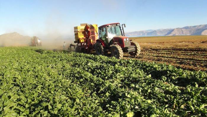 Tarım ÜFE haziranda yüzde 14,5 arttı