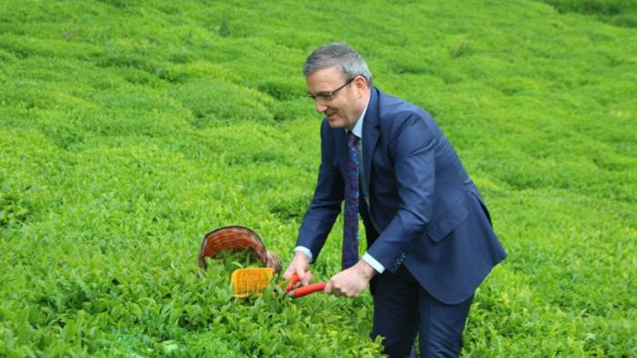 Giresun için; Önce fındık… Önce çay…