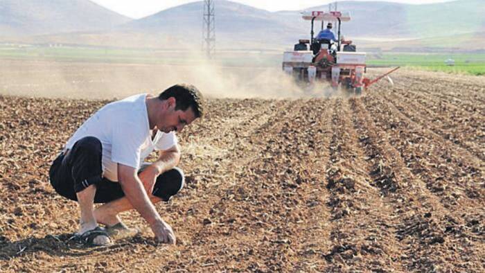 Türkiye'de çiftçi sayısı 500 binin altına düştü