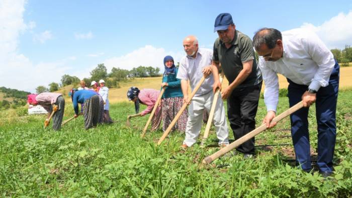 Samsun Büyükşehir’den çiftçiye 7.5 milyon lira destek
