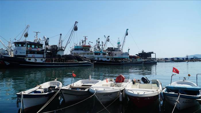 Bartın, Kastamonu ve Sinop'ta afetten zarar gören balıkçılara destekleme ödemesi yapılacak