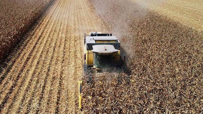 Tarım ÜFE Aralık 2020'de aylık yüzde 2,58, yıllık yüzde 21,24 arttı
