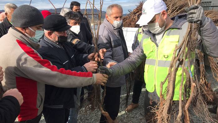 Altınordu Belediyesi’nden Yeşil Kalkınma Seferberliği