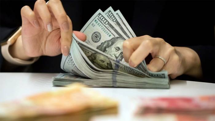 Dolar/TL hareketlendi