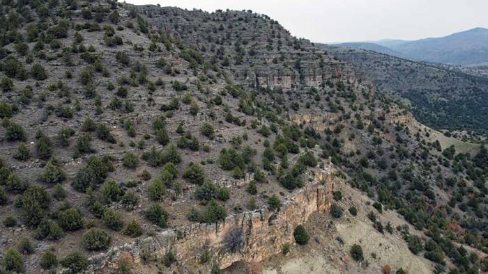 Türkiye'nin ‘ilk’ fosil ormanı UNESCO Dünya Miras Listesi'ne aday