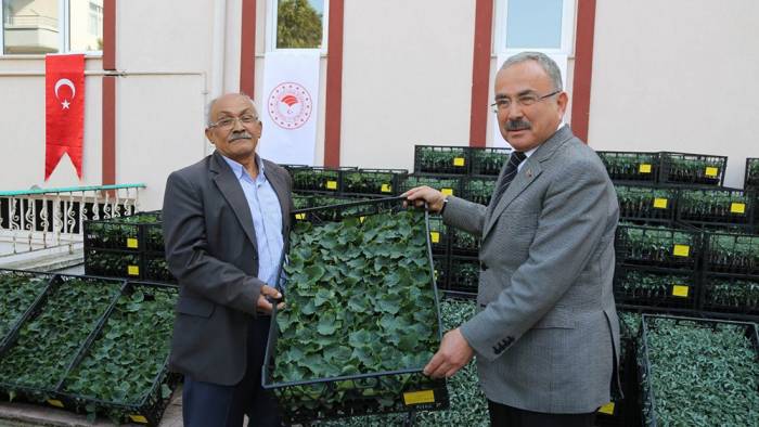 Ordu’da Üreticilere 1 Milyon 625 Bin Yazlık Ve Kışlık Sebze Fidesi Dağıtıldı