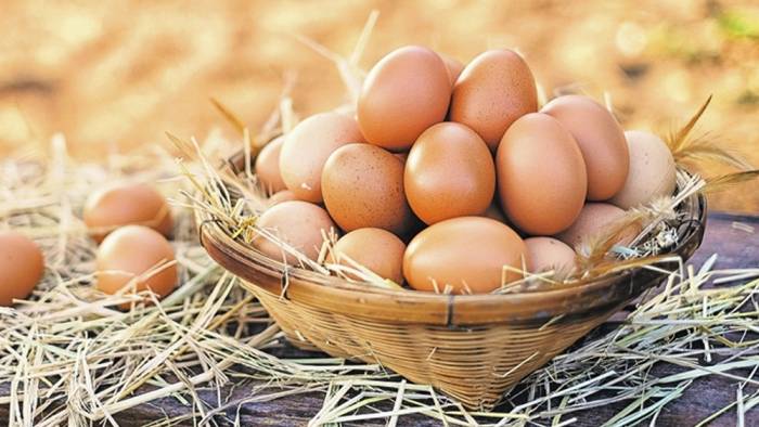 Tavuk yumurtası üretimi nisanda yüzde 1 azaldı