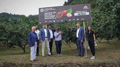 Dekarda 300 kilo fındık veren örnek bahçede inceleme yapıldı