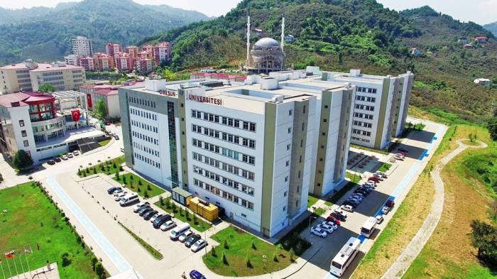 Giresun Üniversitesi 20 öğretim üyesi alacak