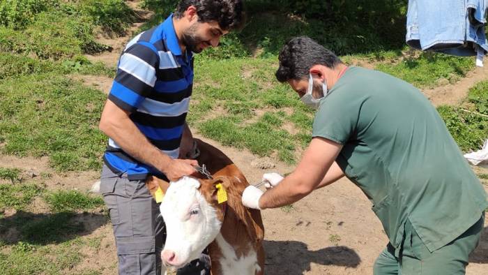 İlkbahar Dönemi Aşılama Kampanyaları Başlıyor