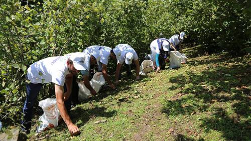 “Fındık Dalda, Aklın İşçide Kalmasın” Projesi Devam Ediyor”