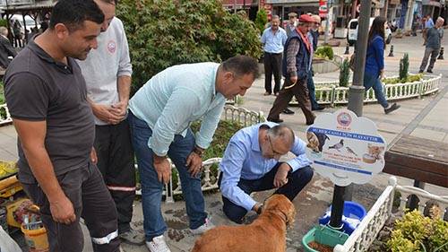 “Hayvanları sevmek kadar, onları korumakta önemli”