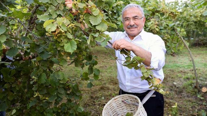 ‘Fındık Dalda, Aklın İşçide Kalmasın’ projesine rekor başvuru