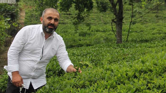 Gümrük çay ithaline izin verilmemeli