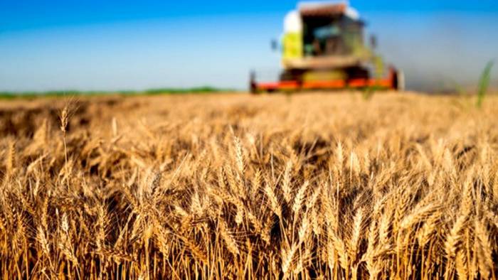 En fazla üretim artışı tahıllar ve bitkisel ürünlerde gerçekleşti