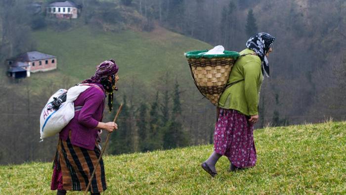 Karadeniz’de kırsal kesimde bulunan kadınlar aile bütçelerine katkıda bulunuyor