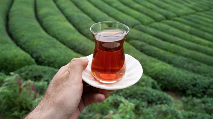25 milyon 388 bin dolarlık çay ihracatı