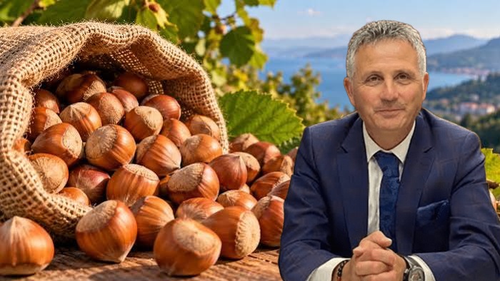 4 Bin 200 Dekar Söküldü: Fındıkta Görünmeyen Fatura