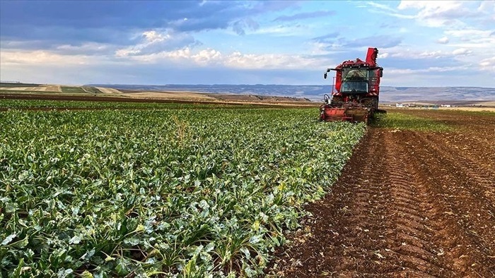 Artan maliyetler çiftçileri üretimden uzaklaştırdı: Tarlaları kiraya verdiler