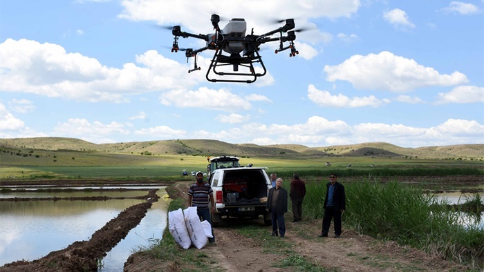 Çiftçilerin dron ile çeltik ekim mesaisi başladı