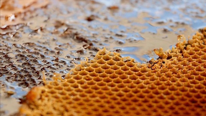 Doğu Karadeniz'in bal ihracatı 1,9 milyon doları aştı