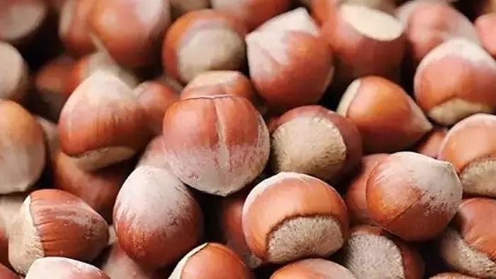 Fındıkta Ters Köşe! Fiyatlar Bir Anda Geriledi