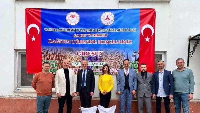 Giresun’da fındığa ek gelir için salep tohumu dağıtıldı