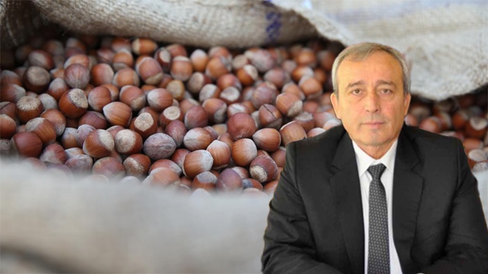 Giresun Fındık İhracatına Damga Vurdu: 942 Milyon Dolar Gelir