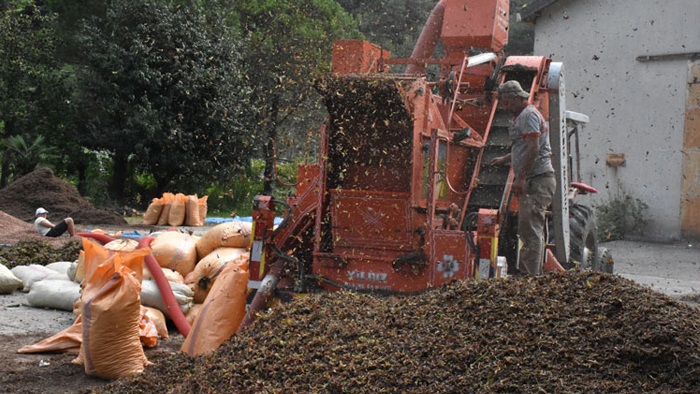 Giresun Ticaret Borsası fındık zurufundan pelet üretecek