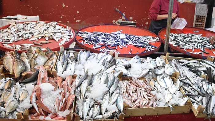 Giresun'da güncel balık fiyatları ne kadar?