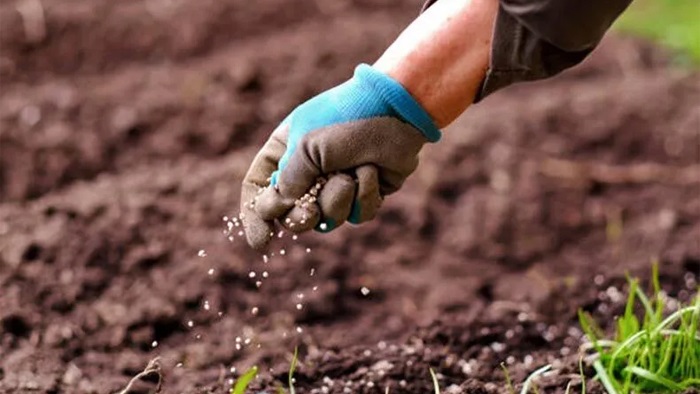 Gübre ithalatında gümrük vergisi sıfırlandı