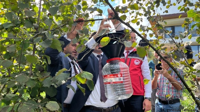 Kahverengi Kokarcaya feromon tuzak: Cezbet-yoket