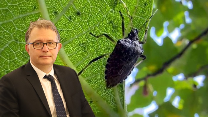 Karadeniz Fındık ve Mamulleri İhracatçıları Birliği Kokarcanın Peşini Bırakmıyor