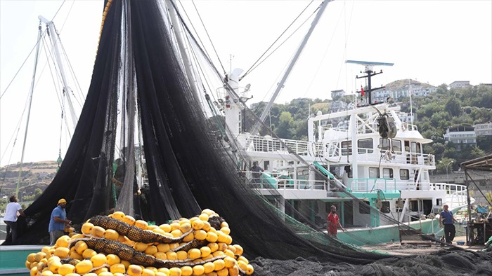 Karadeniz'de palamut, çinekop ve hamsi bolluğu bekleniyor