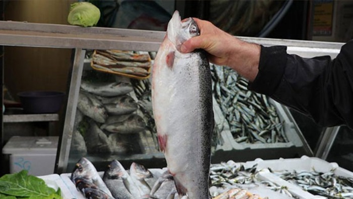 Karadeniz'den 81,6 milyon dolarlık Türk somonu ihraç edildi