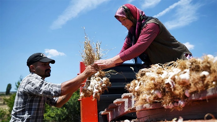 Kırsalda Yaşamı Güçlendirecek Yeni Destek Paketi Açıklanıyor